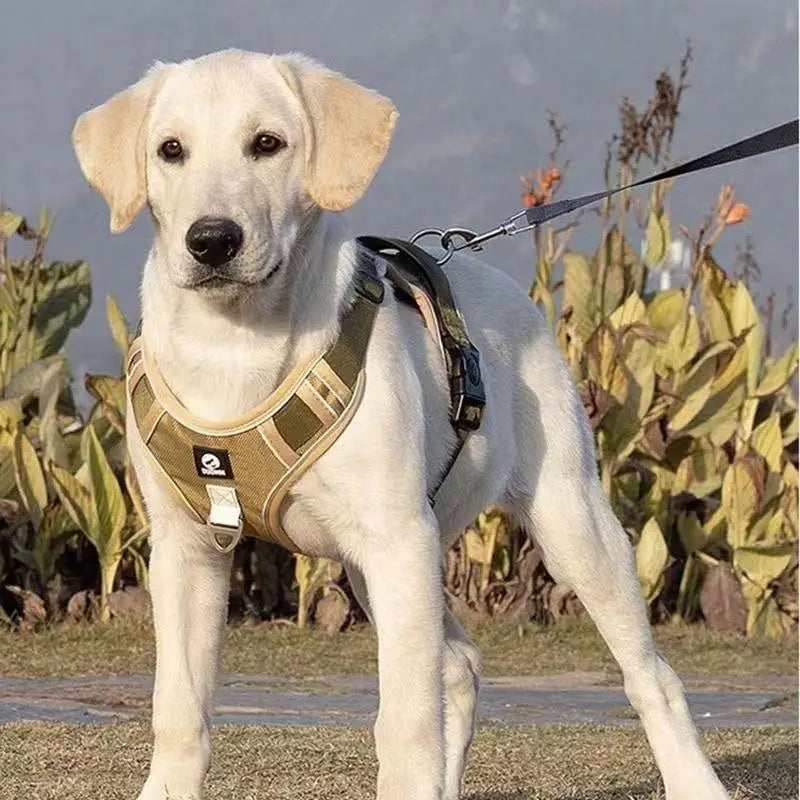 Reflective Oxford Dog Harness