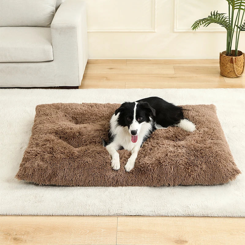 The Fluffy Lounge Mat