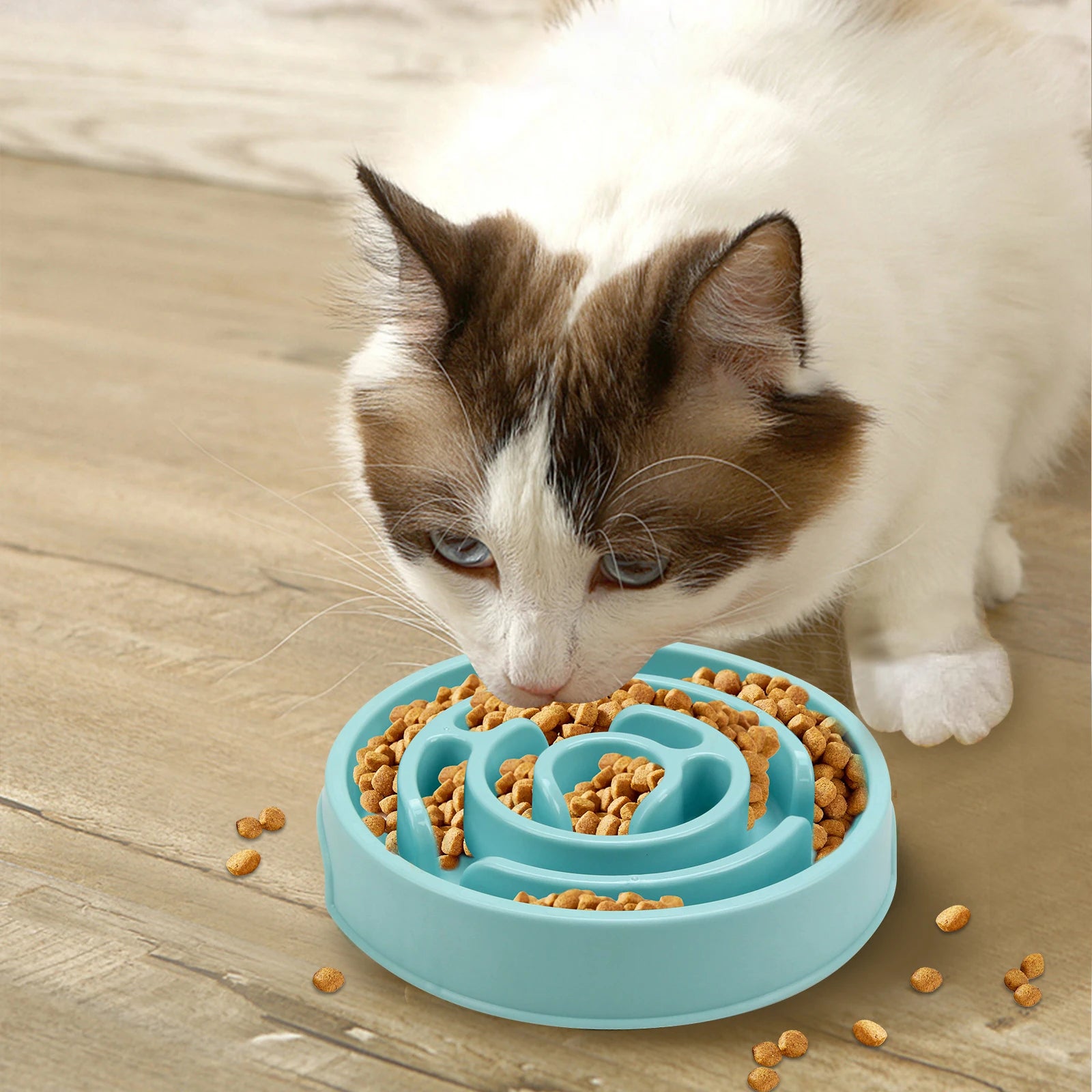Maze Slow Feeder Bowl