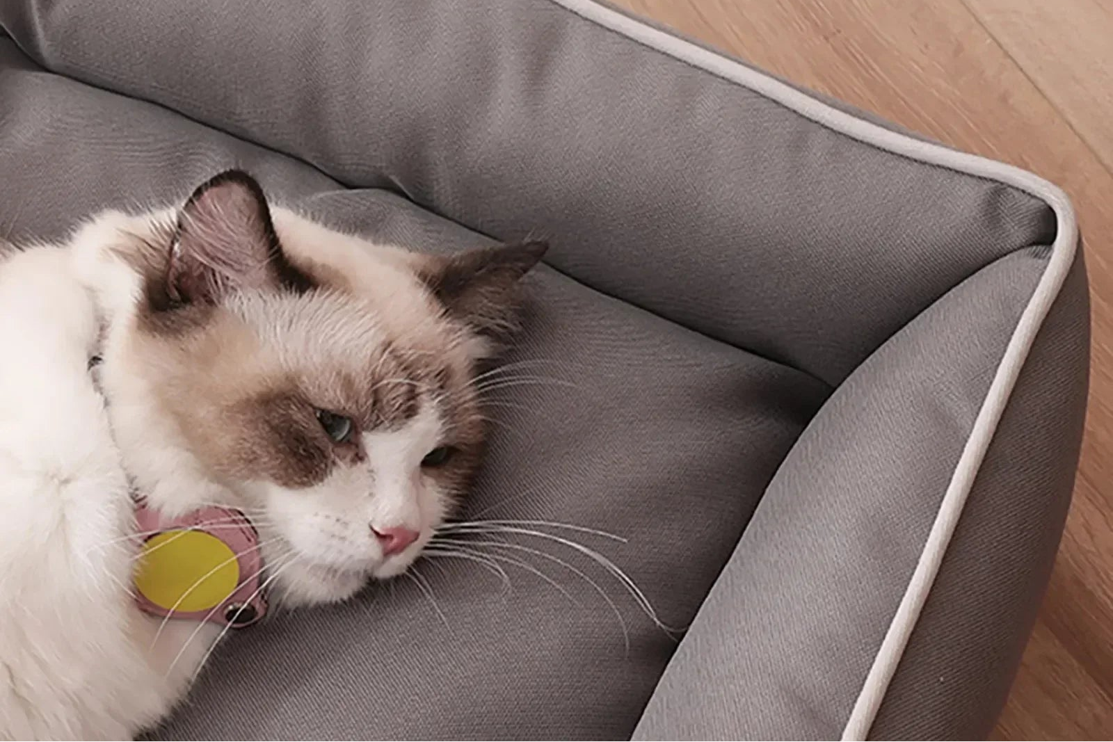 Cat lying on a gray pet bed with text 'Detail embedded rope high-end approach' on a wooden floor.